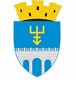 Primăria Edineț