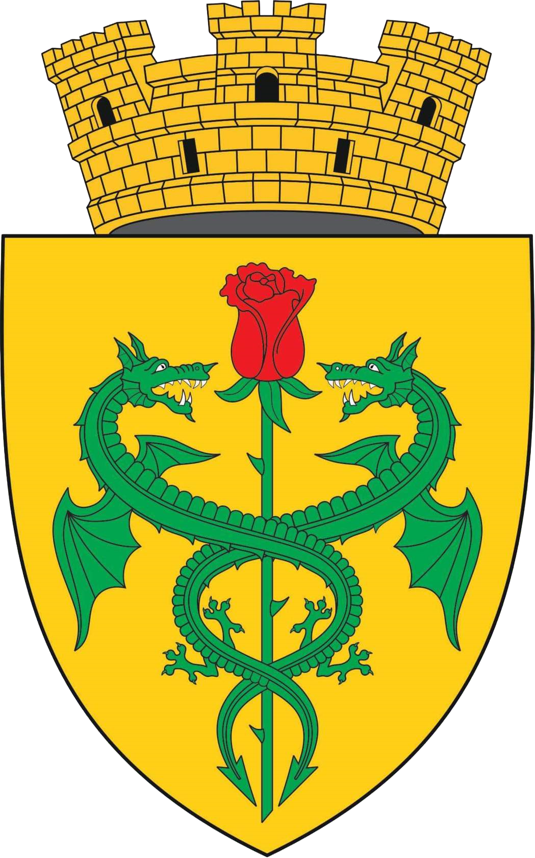 Primăria Orașului Cantemir