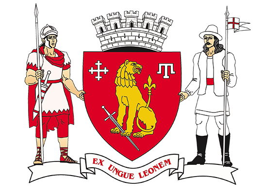 Primăria Orașului Căușeni