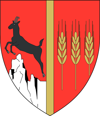 Consiliul Județean Neamț