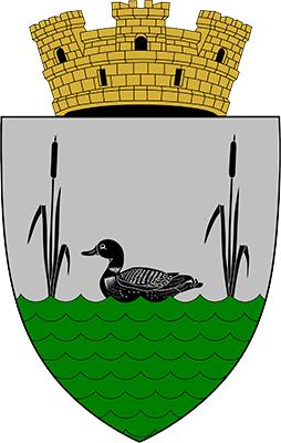 Primăria Orașului Fălești
