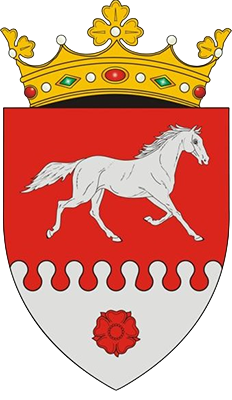 Primăria Orașului Rîșcani