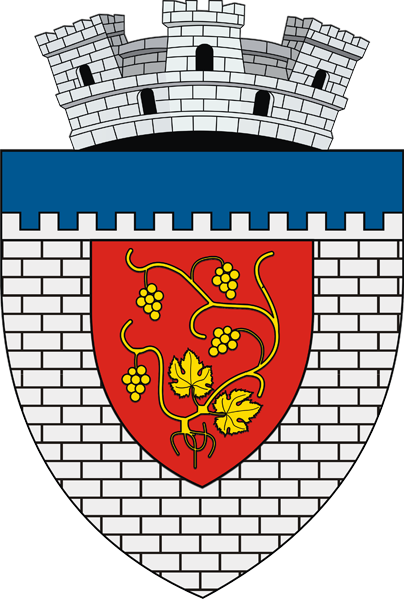 Primăria Orașului Târgu Neamț